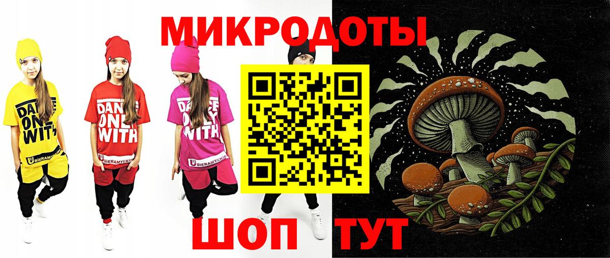 Галлюциногенные грибы прущие грибы  Вход с VPN  Саранск  Галлюциногенные грибы Psilocybe 