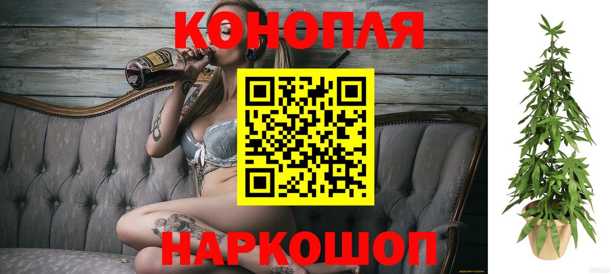 Бошки Шишки тримм Саранск